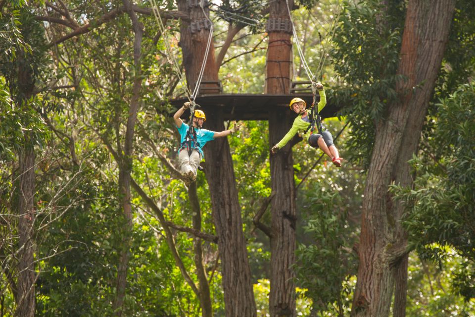 Big Island: 3-Hour Kohala Canopy Zipline Adventure - Booking Details