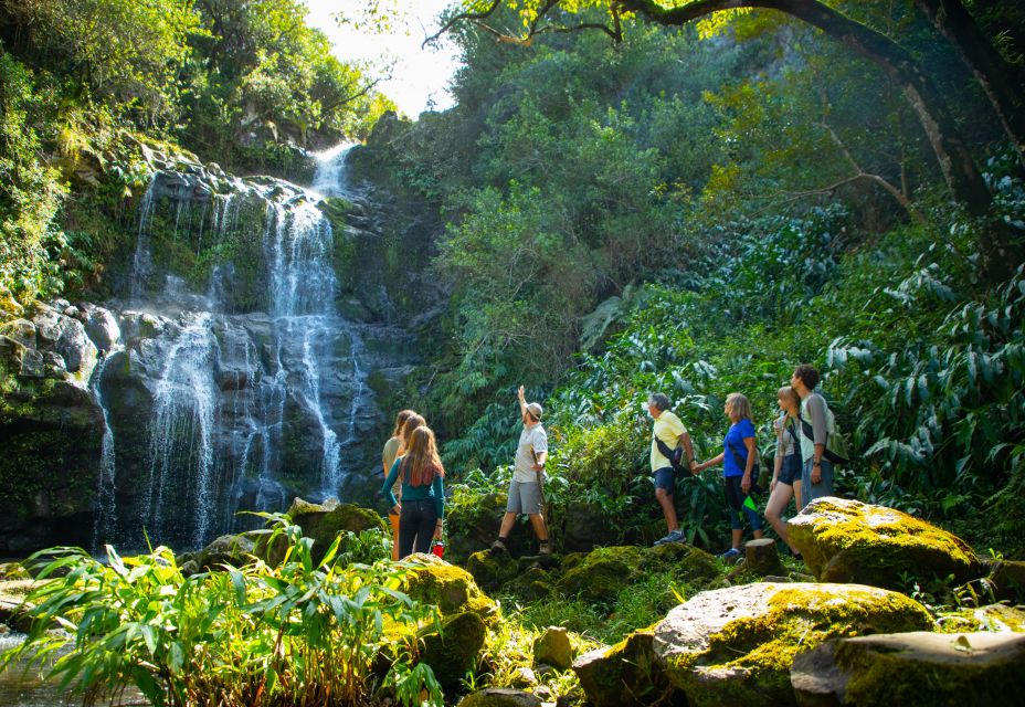 Big Island: Full Day Adventure Tour of the Kohala Waterfalls - Tour Details