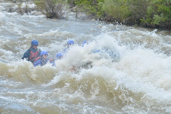Bighorn Sheep Canyon Half-Day Rafting - Activity Overview