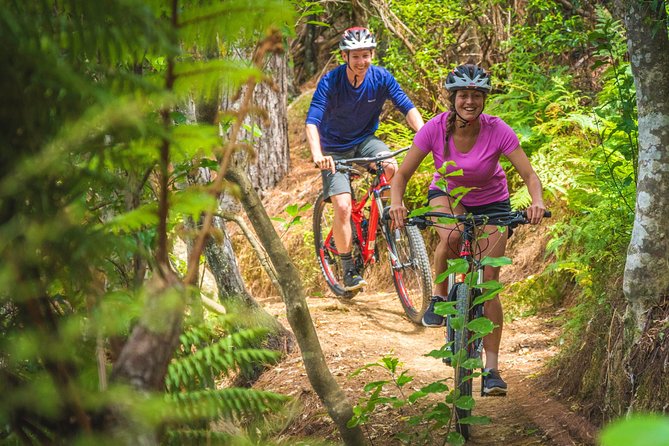 Bike Hire at the Waitangi Mountain Bike Park - Pricing and Booking Details