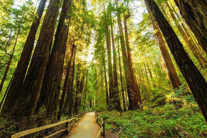 Bike the Golden Gate Bridge and Shuttle Tour to Muir Woods - Booking and Cancellation Policies