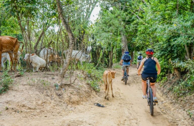 Bike Through Siem Reap Countryside With Local Guide