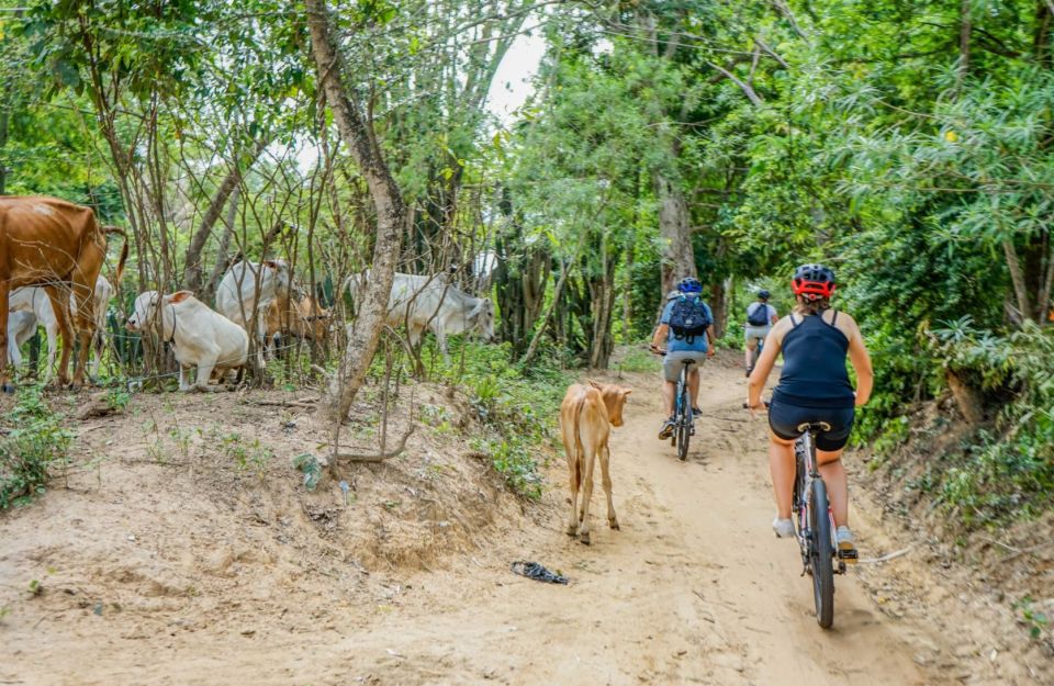 Bike Through Siem Reap Countryside With Local Guide - Booking Details