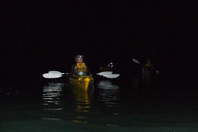 Bioluminescence Kayak Tour – Est. 1994