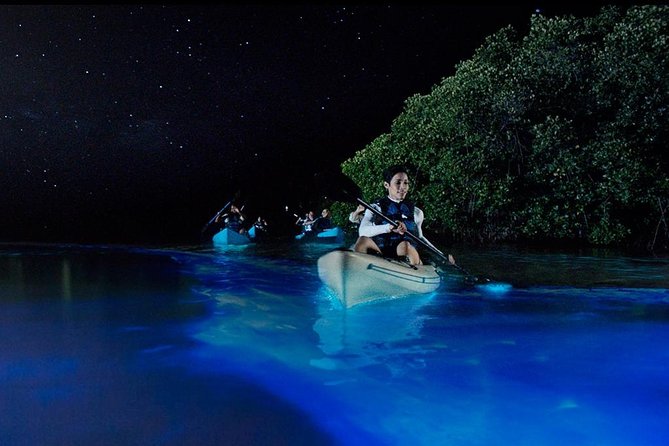 Bioluminescence Night Kayaking Tour of Merritt Island Wildlife Refuge - Inclusions