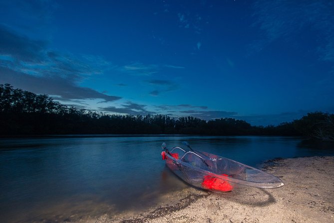 Bioluminescent Clear Kayak Tours in Titusville