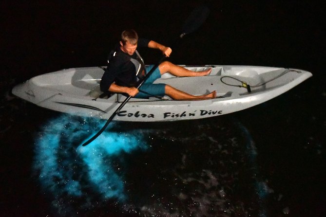 Bioluminescent Kayak Tour. Fin Expeditions Is Cocoa Beaches Top Rated Kayak Tour