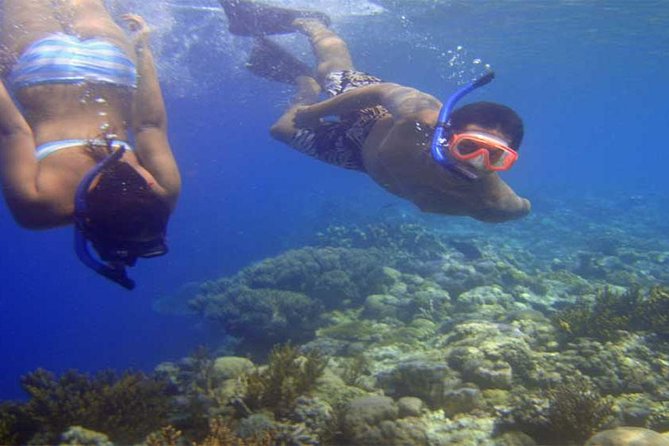 Blue Lagoon Bali Snorkeling Activities All Inclusive - Overview of Snorkeling Activities