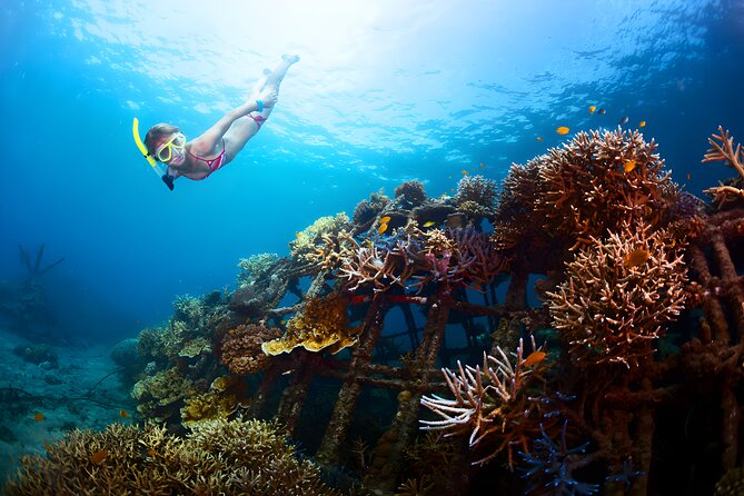 Blue Lagoon Snorkeling – Bali Best Snorkeling Site