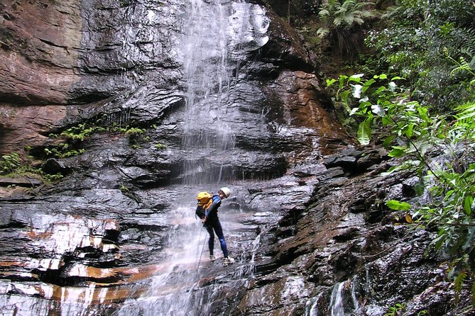 Blue Mountains and Empress Canyon Abseiling Adventure Tour
