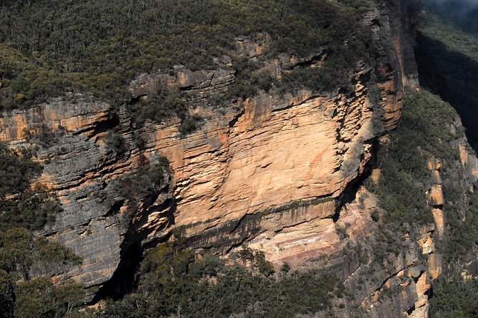 Blue Mountains Highlights & Featherdale Wildlife Park - Experience the Blue Mountains Beauty