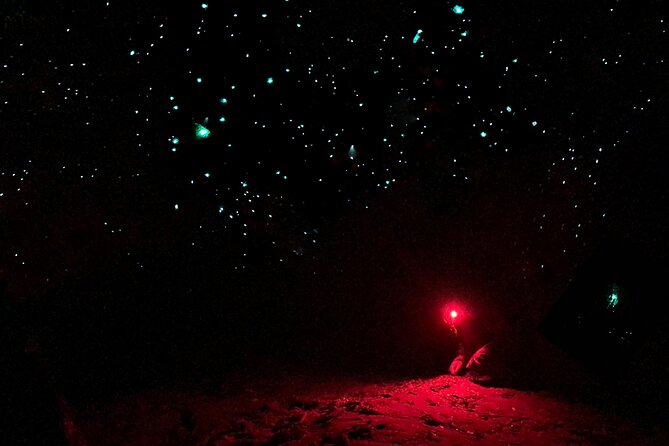 Blue Mountains Hiking Glow Worms Cave Wildlife Spotlighting Night Adventure