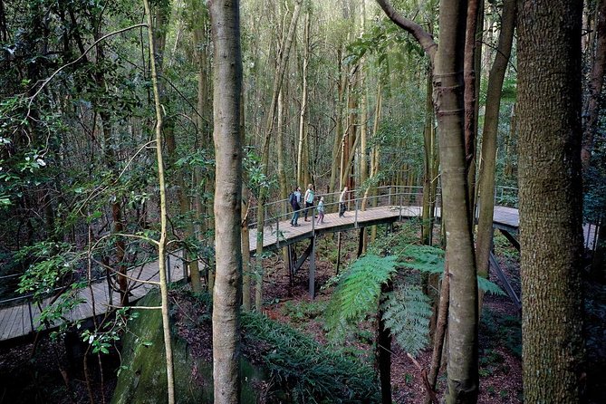 Blue Mountains PRIVATE Day Tour With Wildlife Park. - Inclusions and Highlights