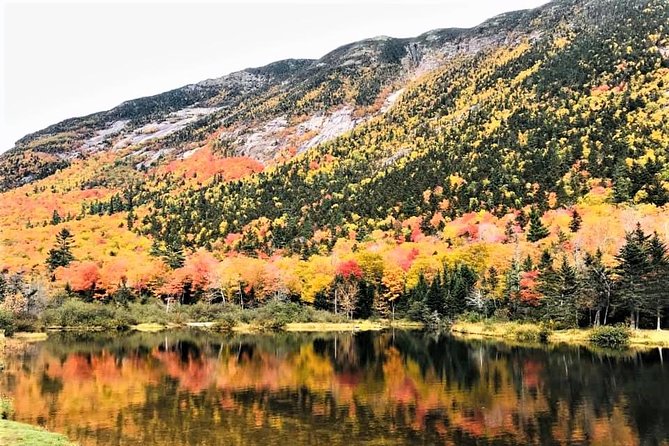 Boston to New Hampshire Fall Foliage White Mountains Day Trip - Tour Overview and Itinerary