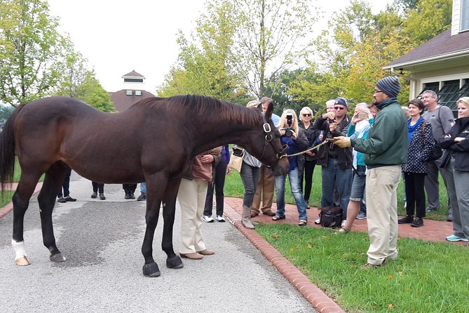 Bourbon Distillery & Horse Farm Tours - Additional Insights