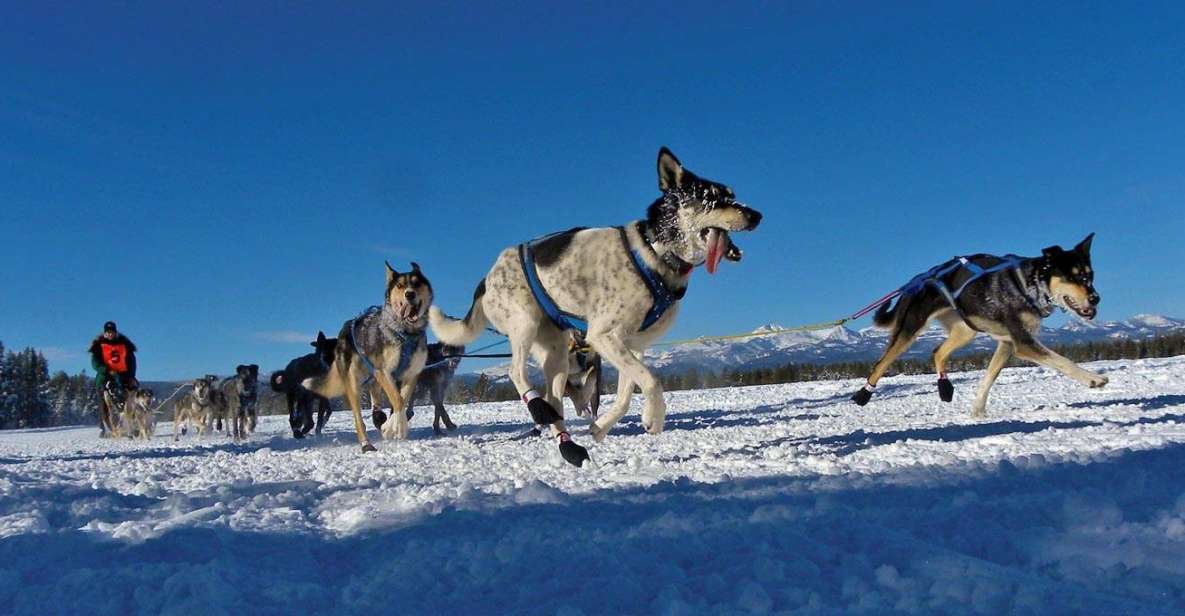 Bozeman: 6 Day Yellowstone Winter Wonderland Tour - Booking Information