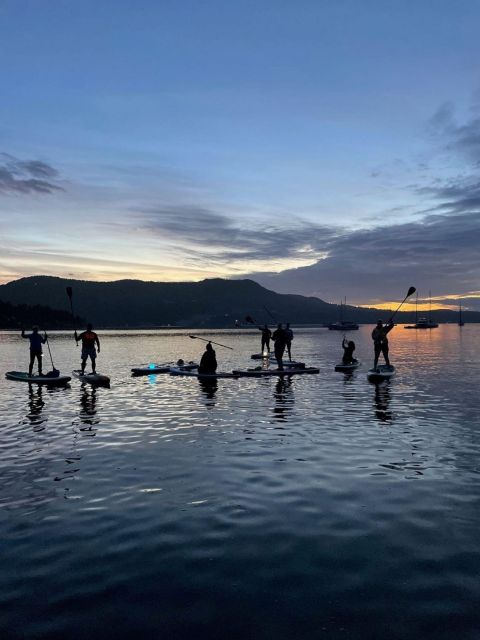 Brentwood Bay: Stand-up Paddleboard Bioluminescence Tour - Experience Highlights