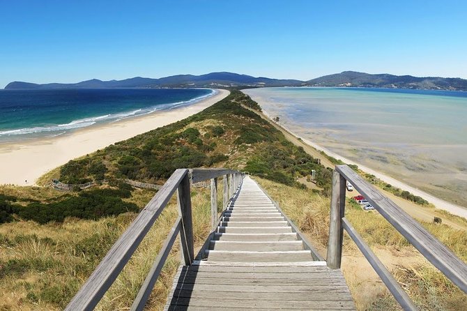 Bruny Island Day Tour Private Charter Service - Tour Overview