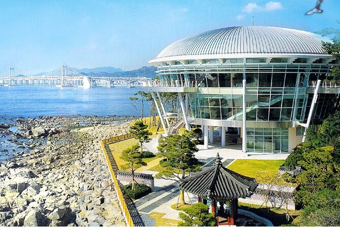 Busan: Fully Customizable Private Tour - Tour Highlights