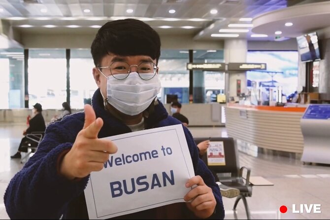 Busan Live Virtual Tour With Local Experts Plus PDF Guidebook - Inclusions and Logistics