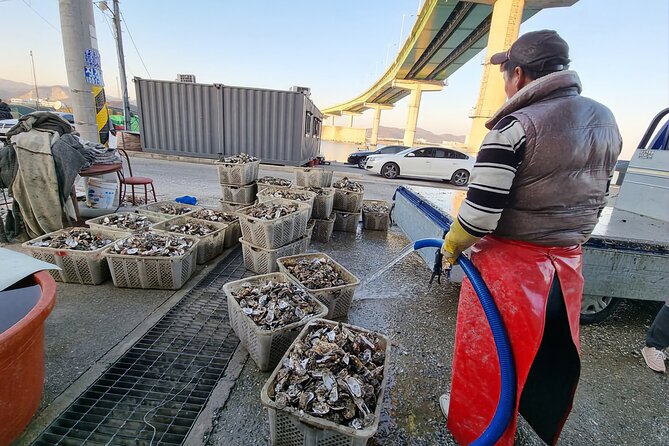 Busan Oyster Village Tour With Oyster Cuisines in Winter - Tour Highlights