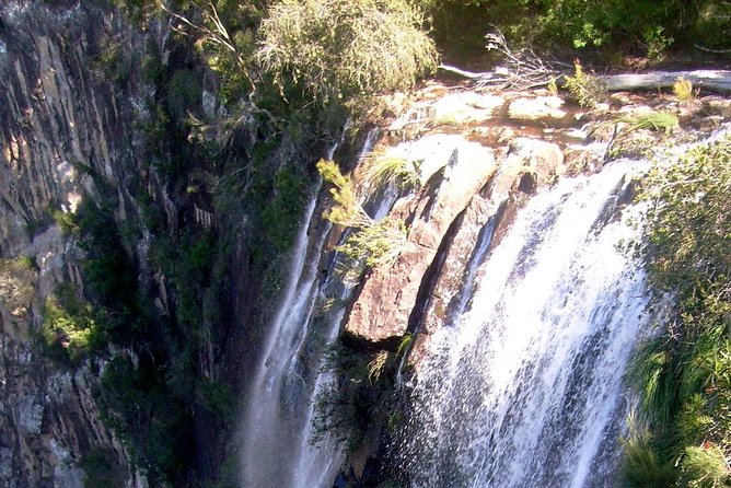 Byron Bay Hinterland Tour Including Rainforest Walk to Minyon Falls