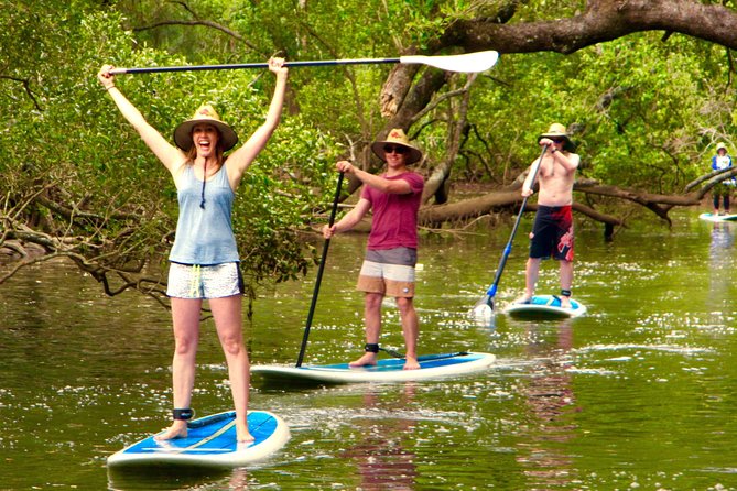 Byron Stand Up Paddle Nature Tour - Tour Overview
