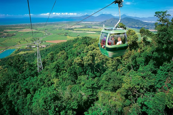 Cairns ATV Adventure Tour and Morning Skyrail
