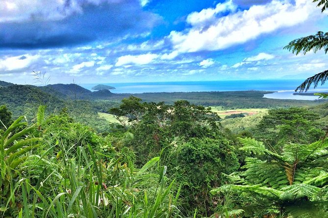 Cairns to Daintree Rainforest Park Private Day Tour With Lunch  – Cairns & the Tropical North
