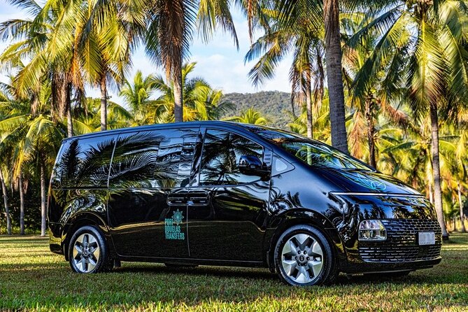 Cairns to Port Douglas (One Way) Private Transfer 1 to 6 Pax - Service Details