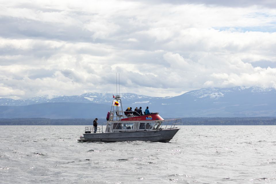 Campbell River: Spring Bear Watching & Waterfalls Boat Tour - Activity Details