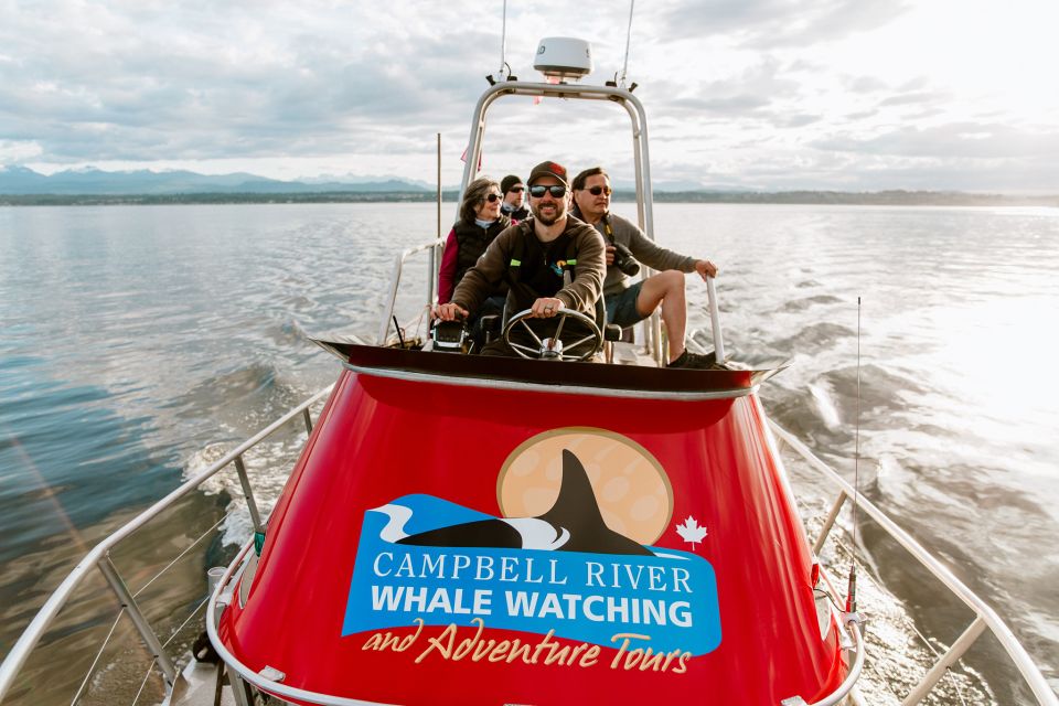 Campbell River: Whale Watching and Wildlife Viewing Day Tour - Activity Details