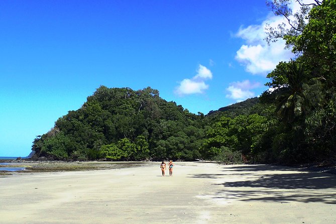 Cape Tribulation Day Tour From Cairns