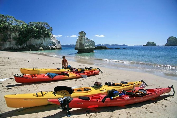 Cathedral Cove Kayak Tour - Tour Overview