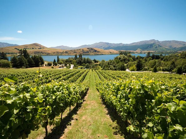 Central Otago Wine Tour From Queenstown Including Lunch