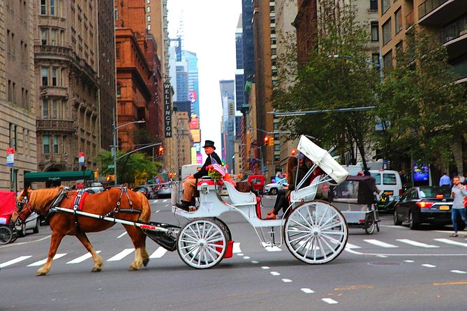 Central Park Horse Carriage Ride Short Loop (Up to 4 Adults)) - Booking Information