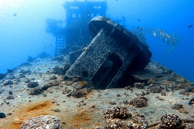 Certified Diver:2-Tank Deep Wreck and Shallow Reef Dives off Oahu - Dive Locations and Types