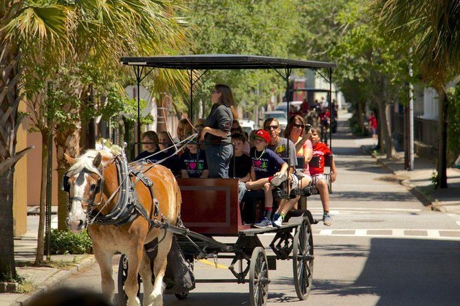 Charlestons Historic Residential Horse and Carriage Tour - Tour Experience