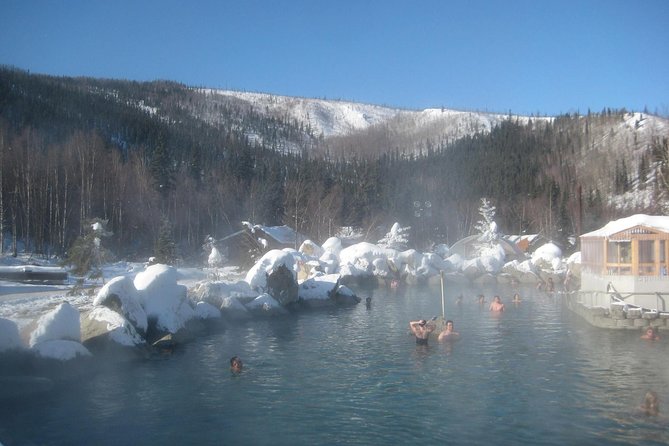 Chena Hot Springs Tour - Tour Highlights