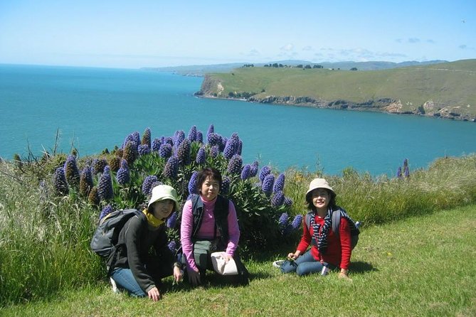 Christchurch Coastal Hiking Tour - Itinerary Highlights