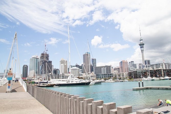 City to City Transfers (Auckland – Rotorua)