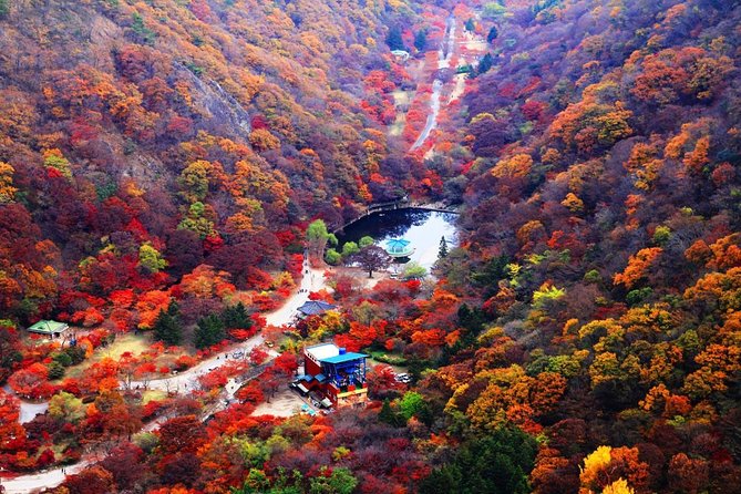 Classic Naejangsan National Park One Day Tour (Autumn Limited）