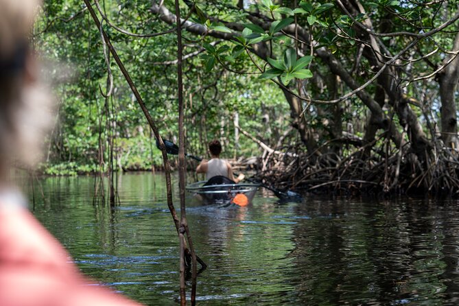 Clear Kayak Tour in North Miami Beach - Mangrove Tunnels - Tour Details and Inclusions