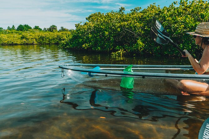Clear Kayak Tour of Tarpon Springs Manatee Season - Tour Overview and Highlights