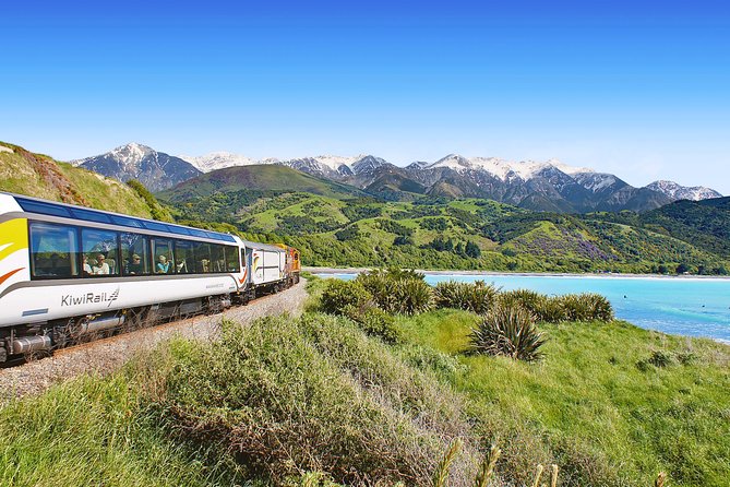 Coastal Pacific Train Journey From Christchurch to Picton - Flexible Cancellation Policy and Cut-off Times