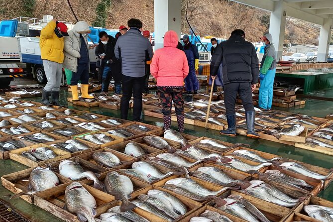 Cod Auction and Clam Auction in Winter