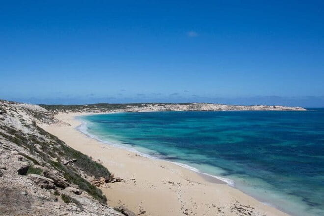 Coffin Bay Oysters, Ocean & Nature Tour - Tour Highlights