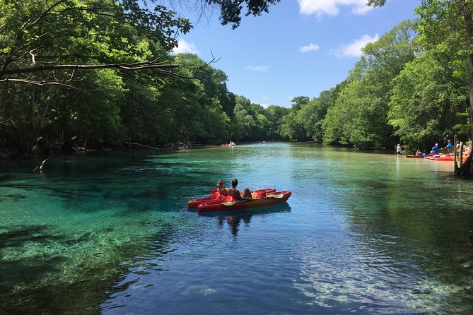 Cold Spring Kayak or Canoe Eco Tour With Snorkeling, Swimming  – Panama City Beach