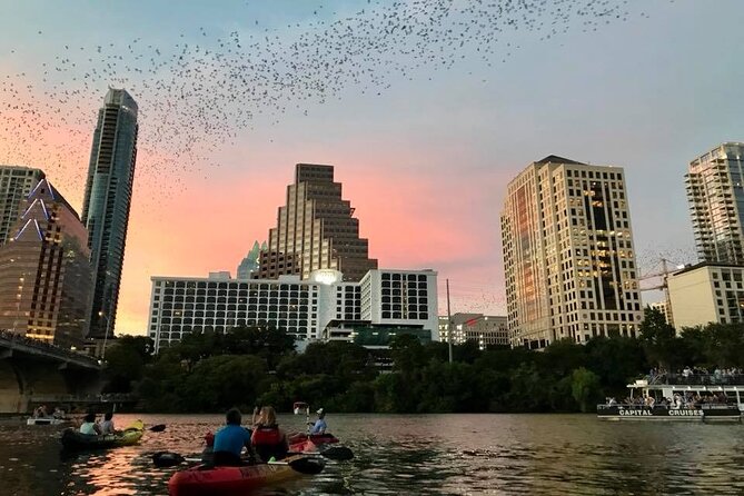 Congress Avenue Bat Bridge Kayak Tour in Austin - Tour Highlights