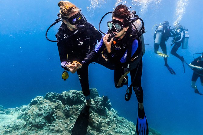 Coral Garden and Liberty Shipwreck Beginner Scuba Diving Tour  – Tulamben